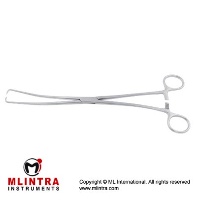 Duplay Tenaculum Forcep Stainless Steel, 25.5 cm - 10"